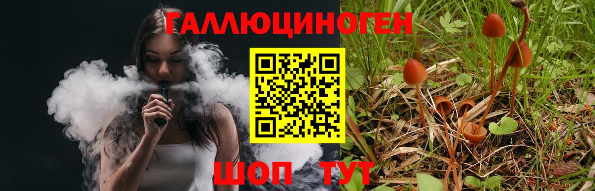 Галлюциногенные грибы мицелий  Вход с VPN  Галлюциногенные грибы мухоморы  Будённовск 